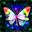 butterfly_20070824.gif